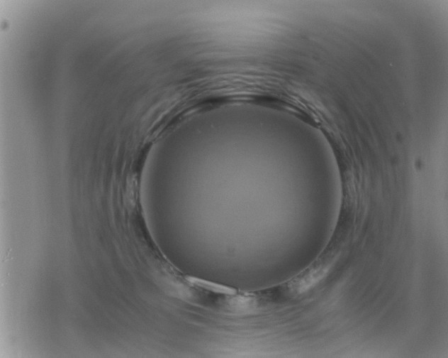 X0000075860325200609221802