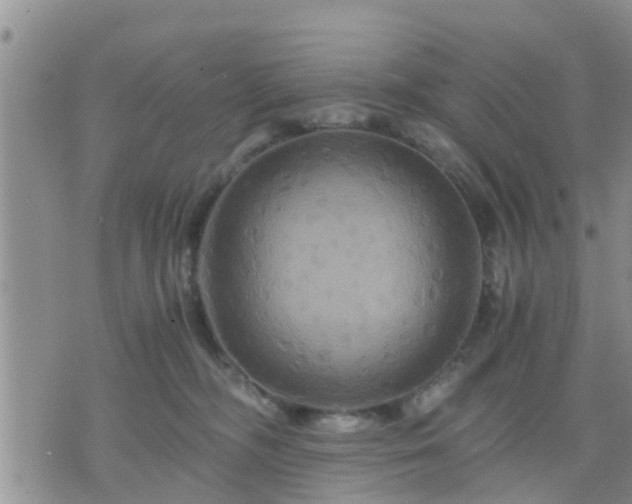 X0000075860326200609221802