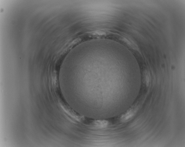 X0000075860328200609221802