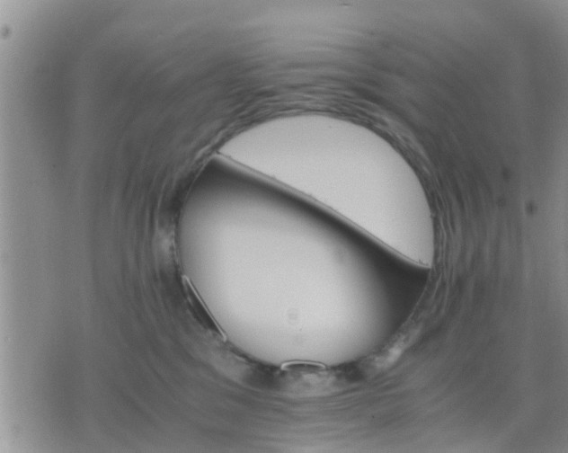 X0000075860329200609221802