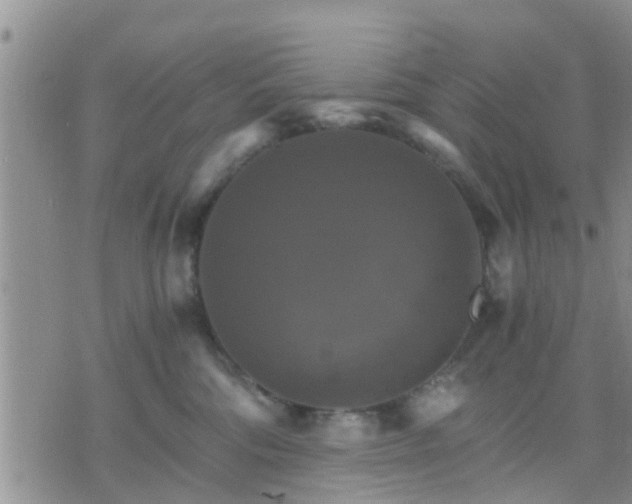 X0000075860330200609221802