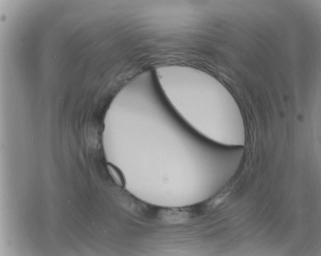 X0000075860331200609221802