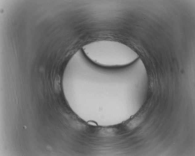 X0000075860332200609221802