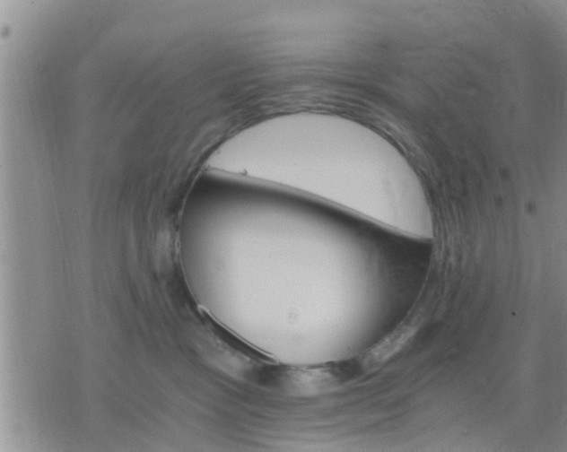 X0000075860333200609221802