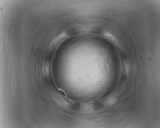 X0000075860334200609221802