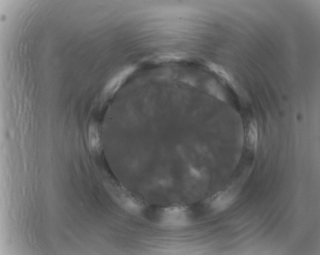 X0000075860335200609221802