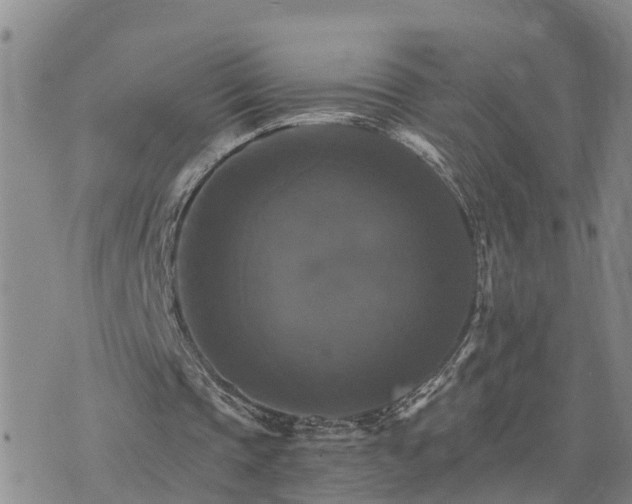 X0000075860337200609221801