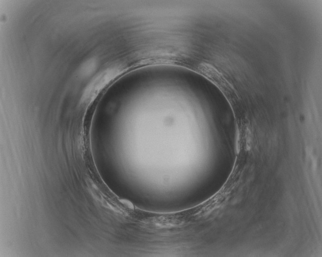 X0000075860338200609221801