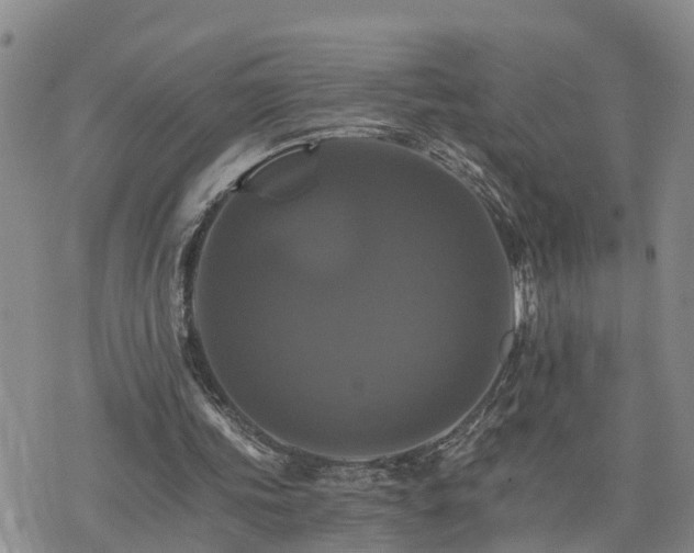 X0000075860339200609221801