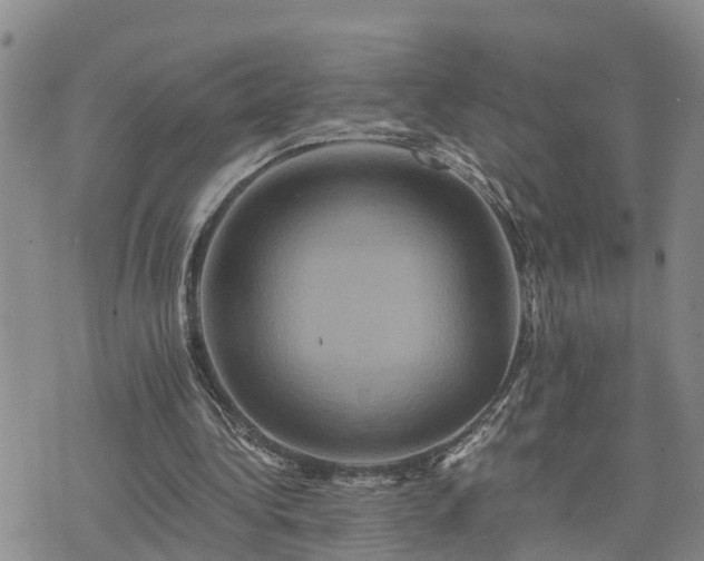 X0000075860340200609221801