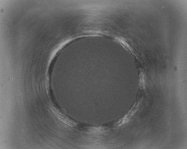 X0000075860342200609221801