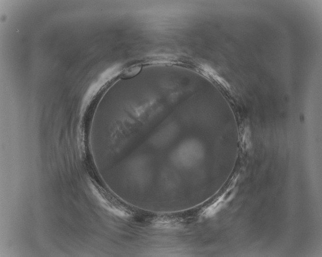 X0000075860343200609221801