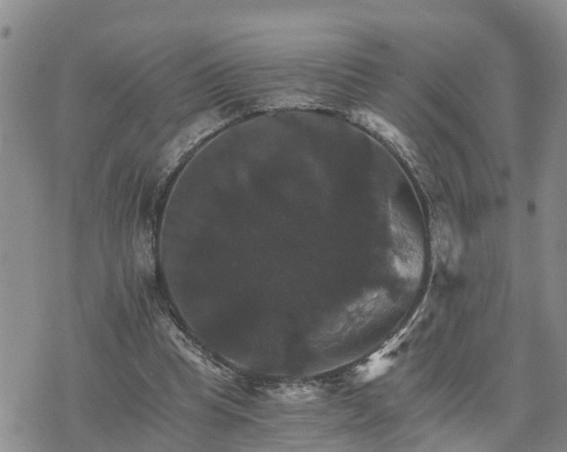 X0000075860345200609221801