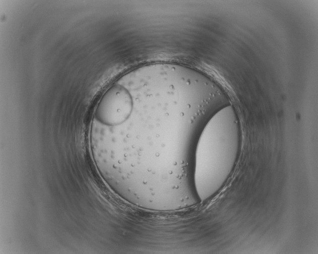 X0000075860346200609221801