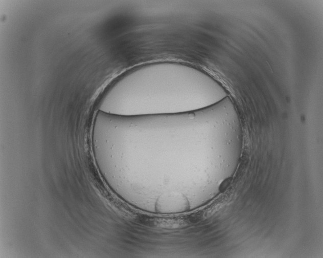 X0000075860347200609221801