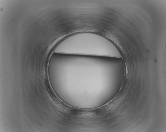 X0000075860348200609221801