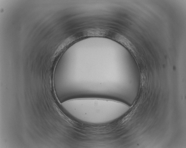 X0000075860349200609221801