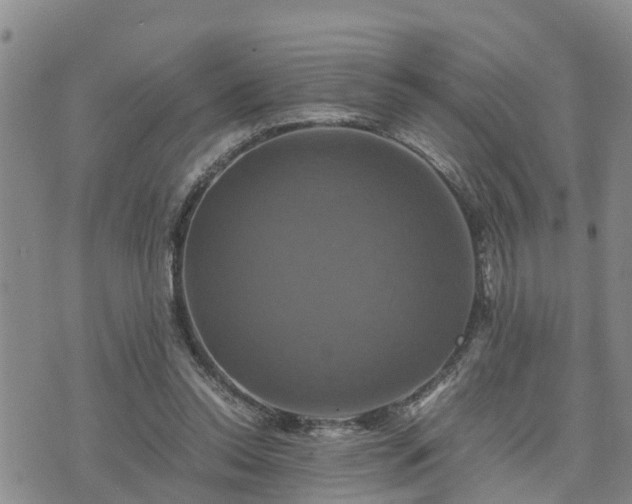 X0000075860350200609221801