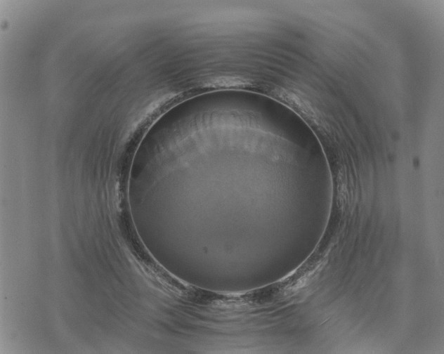 X0000075860351200609221801