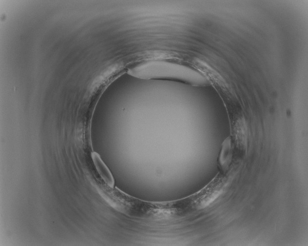 X0000075860352200609221801