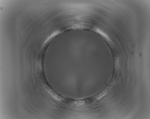 X0000075860353200609221801