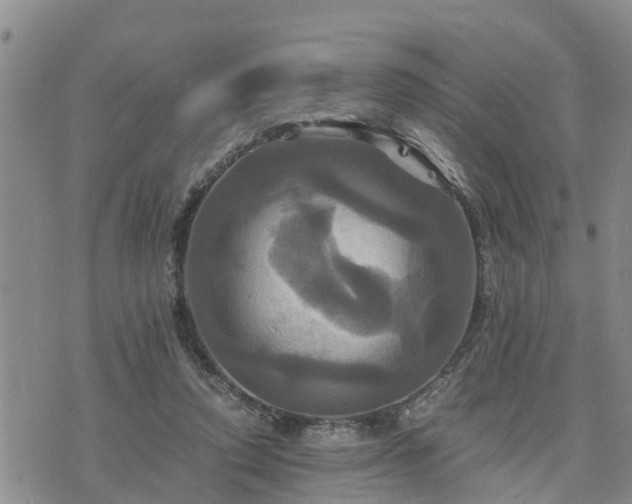 X0000075860354200609221801