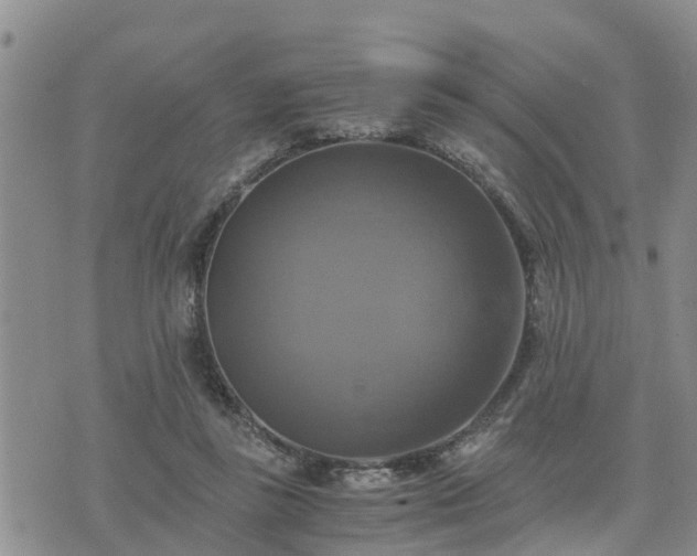 X0000075860355200609221801