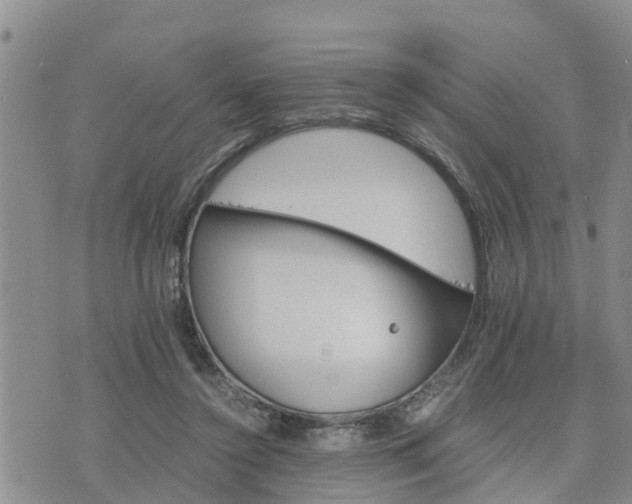 X0000075860356200609221801