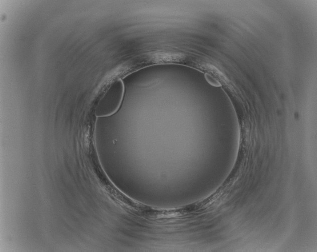 X0000075860357200609221801