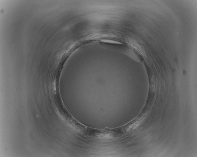 X0000075860358200609221801