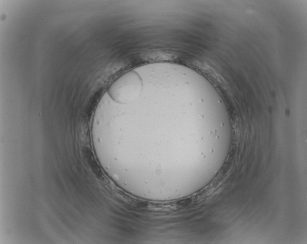 X0000075860359200609221801