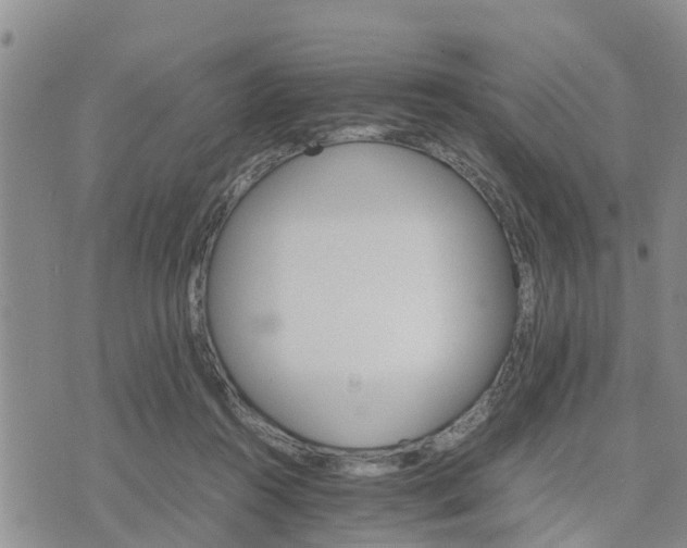 X0000075860360200609221801