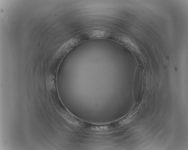 X0000075860361200609221801