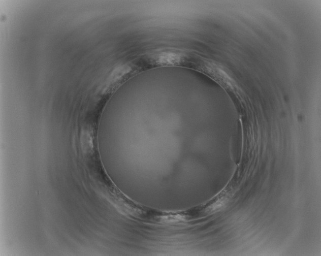 X0000075860363200609221801