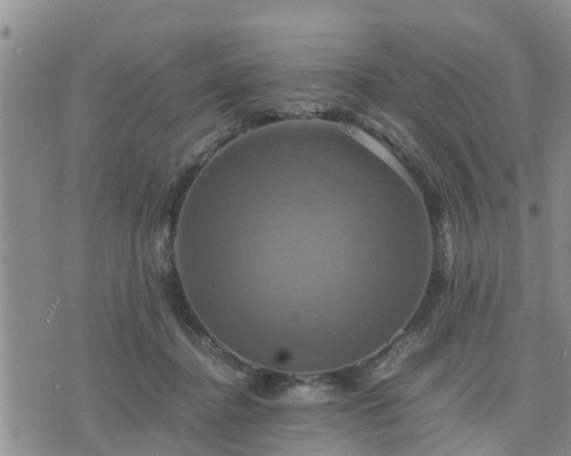 X0000075860364200609221801