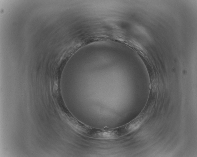 X0000075860365200609221801