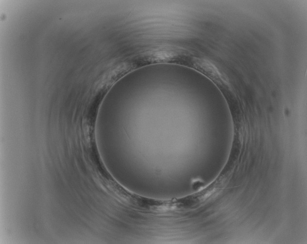 X0000075860366200609221801