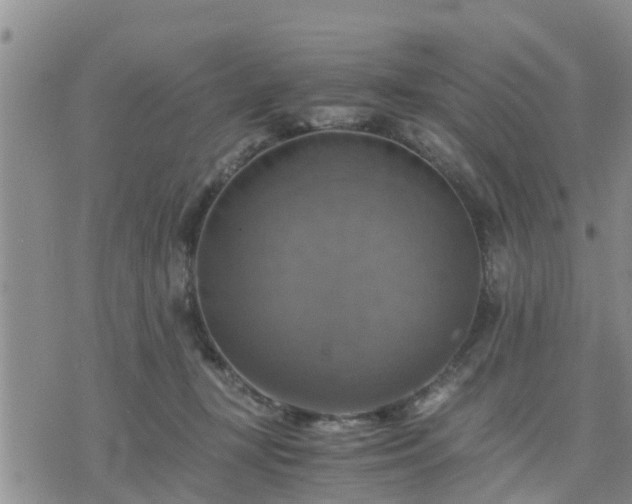 X0000075860367200609221801