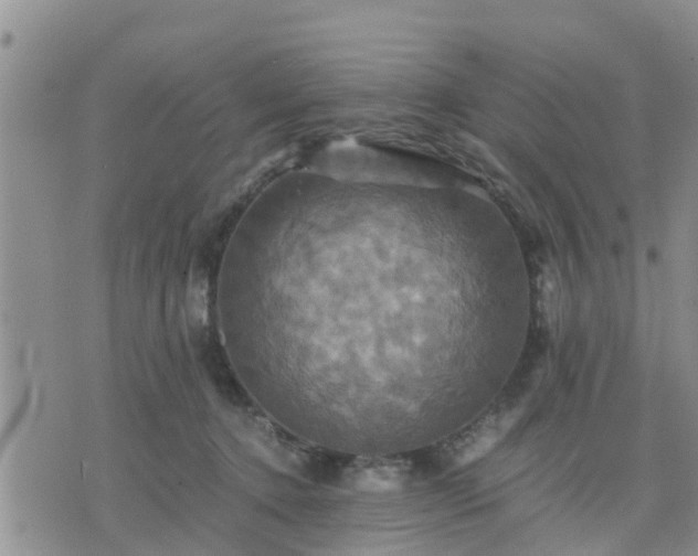 X0000075860368200609221801