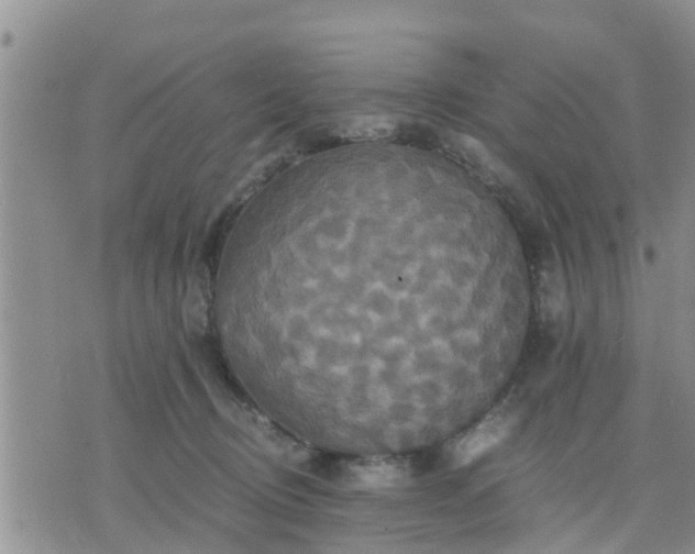 X0000075860370200609221801