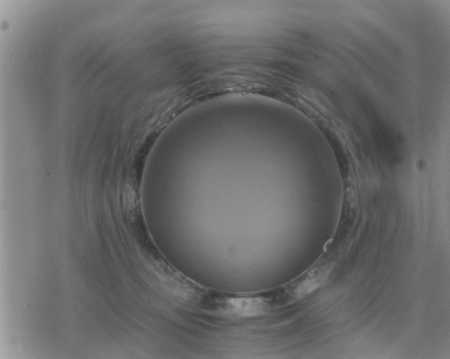 X0000075860371200609221801