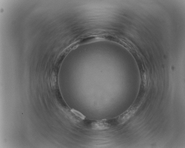 X0000075860372200609221801