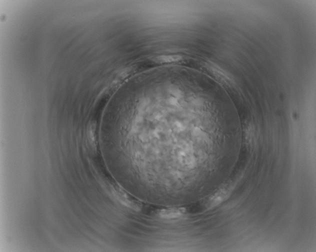 X0000075860373200609221801