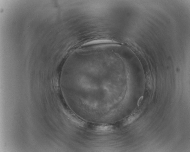 X0000075860375200609221801