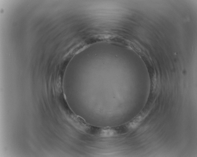 X0000075860376200609221801