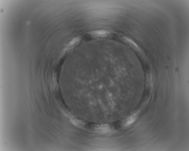 X0000075860377200609221801