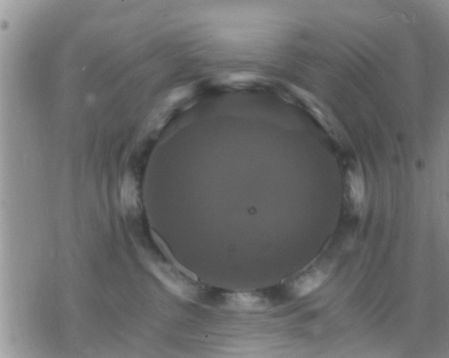 X0000075860380200609221802