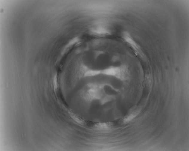 X0000075860381200609221802