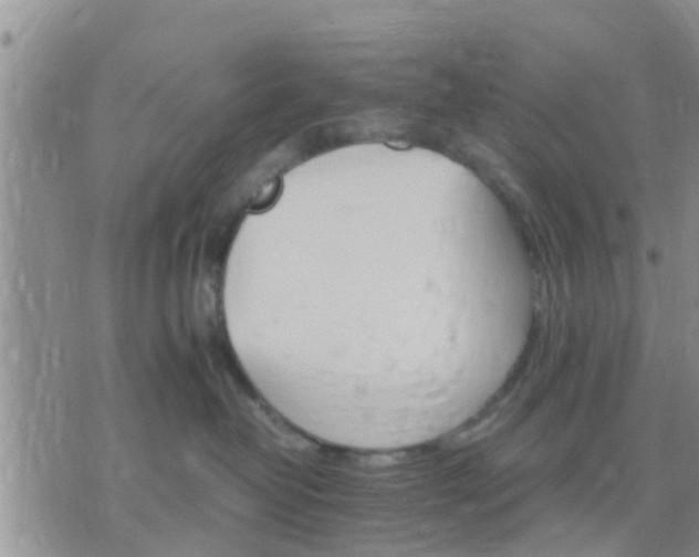 X0000075860382200609221802