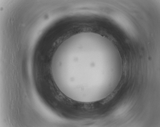 X0000075860383200609221802